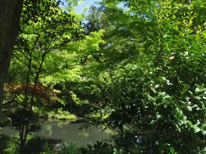 鶴岡八幡宮の自然