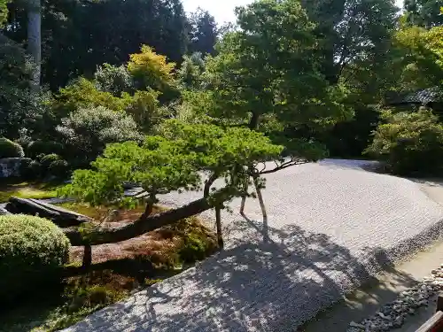 曼殊院門跡の庭園