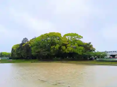市杵島姫神社のその他建物