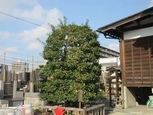 慶運寺(神奈川県)