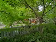 阿部野神社の自然