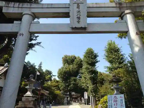 亀ケ池八幡宮(神奈川県)