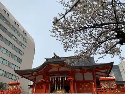 花園神社の本殿・本堂