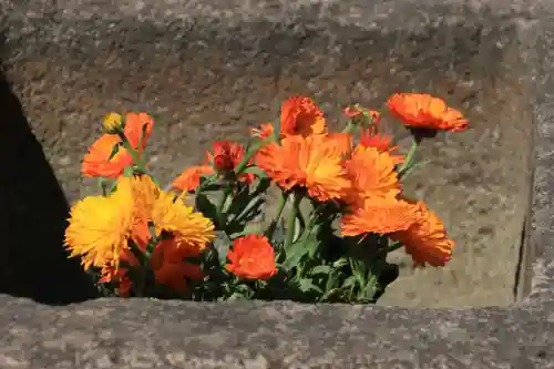 熊野福藏神社の手水舎