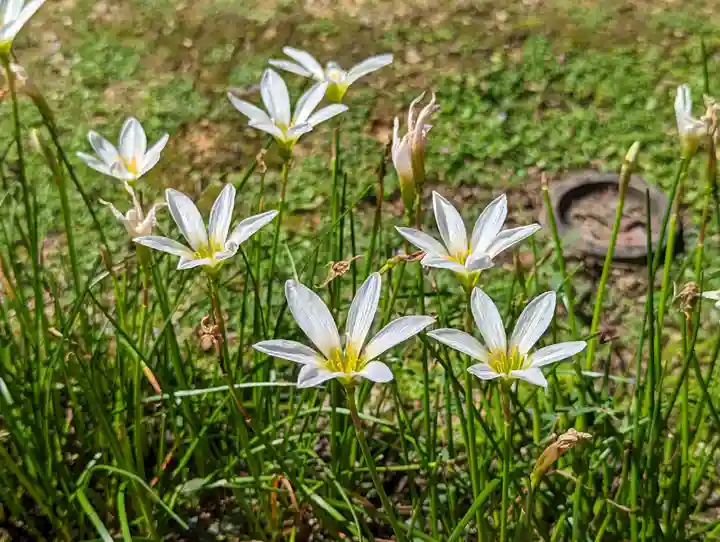 雲龍院(京都府)