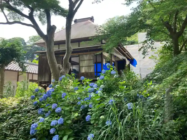 円覚寺(神奈川県)