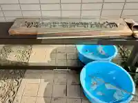 長者山新羅神社の{uncategorized: "未分類", other: "その他", undefined: "問題あり", building: "その他建物", grave: "お墓", sacred_gate: "鳥居", guardian: "狛犬", statue: "像", buddha: "仏像", history: "歴史", nature: "自然", garden: "庭園", animal: "動物", pagoda: "塔", temizu: "手水舎", mountain_gate: "山門・神門", sanctuary: "本殿・本堂", subordinate: "末社・摂社", art: "芸術", scenery: "景色", jizo: "地蔵", ema: "絵馬", goshuin: "御朱印", omikuji: "おみくじ", items: "授与品その他", amulet: "お守り", goshuincho: "御朱印帳", eats: "食事", festival: "お祭り", votive_dance: "神楽", shichigosan: "七五三参", wedding: "結婚式", experience: "体験その他", initially: "初詣", around: "周辺", anti_infection: "感染症対策"}