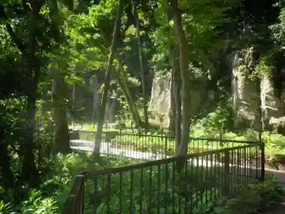 合槌稲荷社跡(遺構)の自然