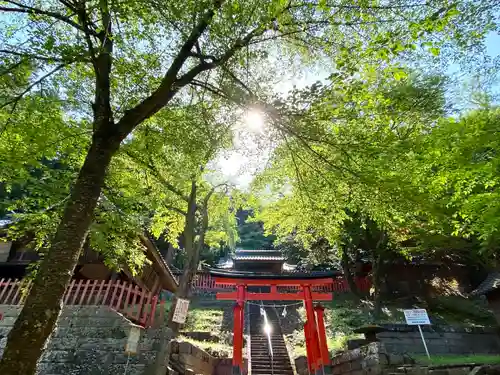 白鳥神社の鳥居