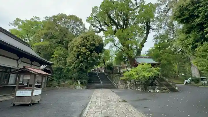 鹿児島神宮(鹿児島県)