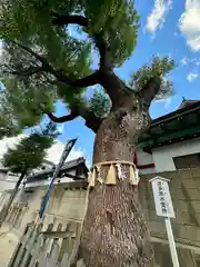 阿倍王子神社(大阪府)