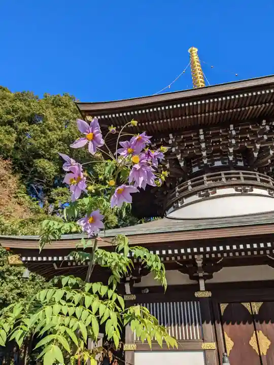 三寳寺(東京都)
