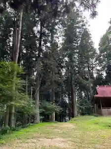 大宮温泉神社(栃木県)(2023年07月31日(月) 07時38分48秒投稿)