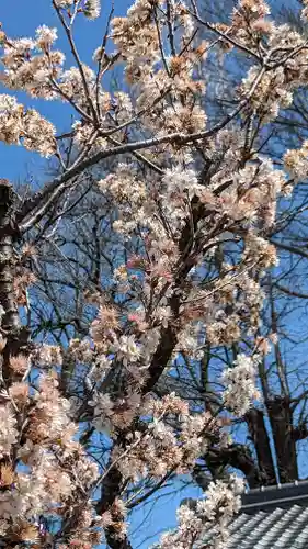 玉田神社(京都府)