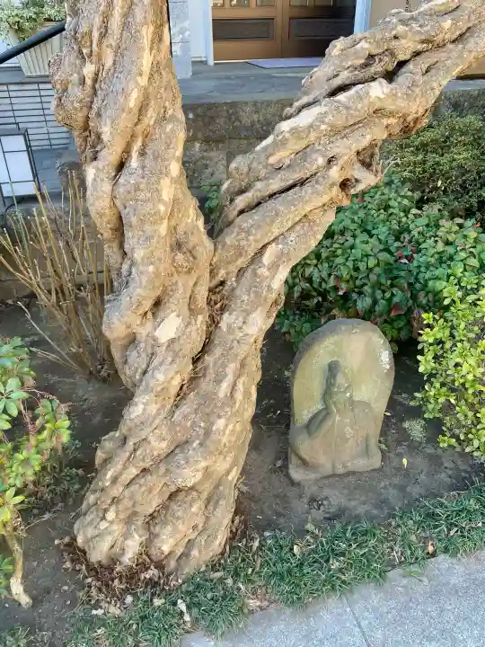 海福寺の{uncategorized: "未分類", other: "その他", undefined: "問題あり", building: "その他建物", grave: "お墓", sacred_gate: "鳥居", guardian: "狛犬", statue: "像", buddha: "仏像", history: "歴史", nature: "自然", garden: "庭園", animal: "動物", pagoda: "塔", temizu: "手水舎", mountain_gate: "山門・神門", sanctuary: "本殿・本堂", subordinate: "末社・摂社", art: "芸術", scenery: "景色", jizo: "地蔵", ema: "絵馬", goshuin: "御朱印", omikuji: "おみくじ", items: "授与品その他", amulet: "お守り", goshuincho: "御朱印帳", eats: "食事", festival: "お祭り", votive_dance: "神楽", shichigosan: "七五三参", wedding: "結婚式", experience: "体験その他", initially: "初詣", around: "周辺", anti_infection: "感染症対策"}