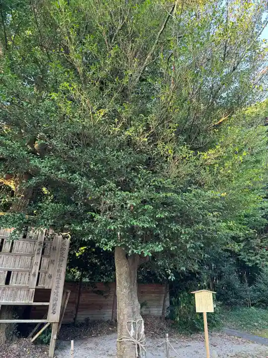 阿太加夜神社(島根県)