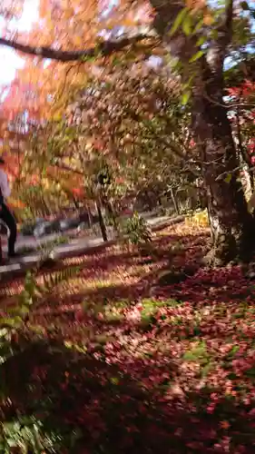 宝筐院(京都府)