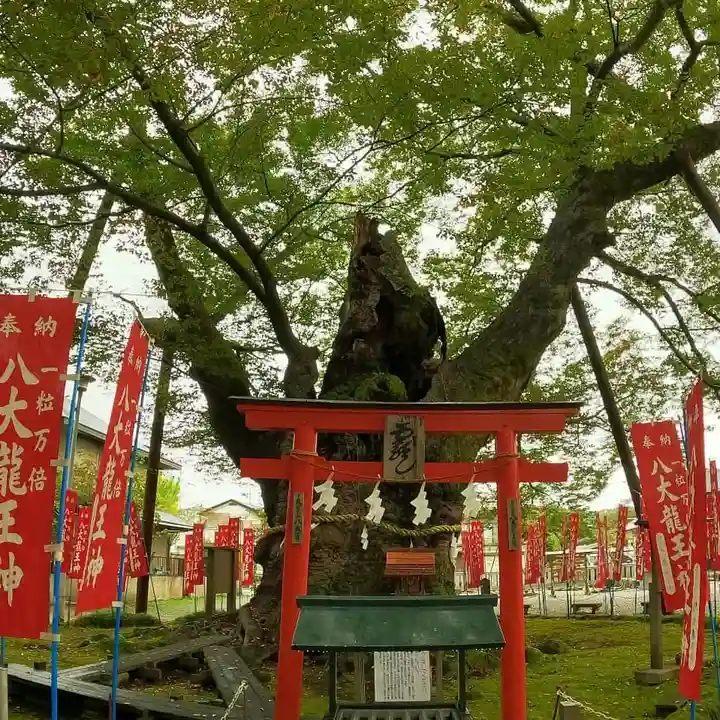 秩父今宮神社の自然