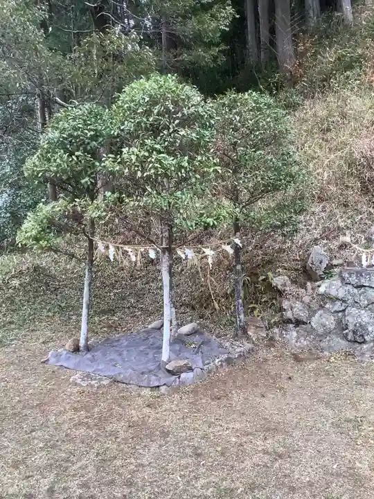 白山神社の自然