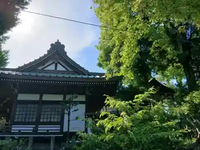 日枝神社の{uncategorized: "未分類", other: "その他", undefined: "問題あり", building: "その他建物", grave: "お墓", sacred_gate: "鳥居", guardian: "狛犬", statue: "像", buddha: "仏像", history: "歴史", nature: "自然", garden: "庭園", animal: "動物", pagoda: "塔", temizu: "手水舎", mountain_gate: "山門・神門", sanctuary: "本殿・本堂", subordinate: "末社・摂社", art: "芸術", scenery: "景色", jizo: "地蔵", ema: "絵馬", goshuin: "御朱印", omikuji: "おみくじ", items: "授与品その他", amulet: "お守り", goshuincho: "御朱印帳", eats: "食事", festival: "お祭り", votive_dance: "神楽", shichigosan: "七五三参", wedding: "結婚式", experience: "体験その他", initially: "初詣", around: "周辺", anti_infection: "感染症対策"}