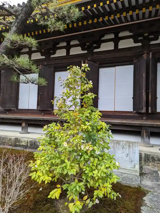 蓮華王院(三十三間堂)(京都府)