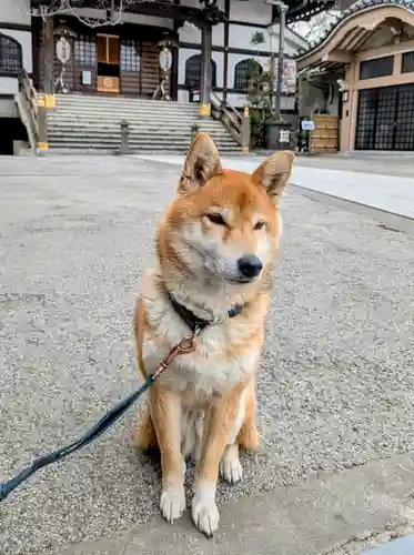 感通寺(東京都)
