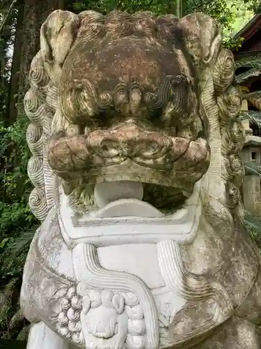 冠嶽神社の狛犬