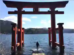 箱根神社の鳥居