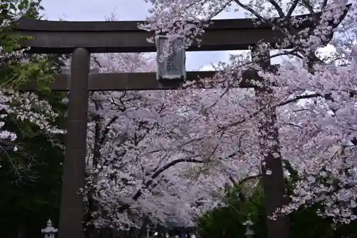 冨士御室浅間神社の鳥居