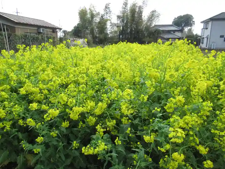 伏木香取神社(茨城県)