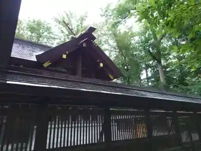 旭川神社の本殿・本堂