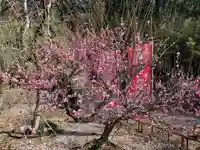 當選寺(埼玉県)