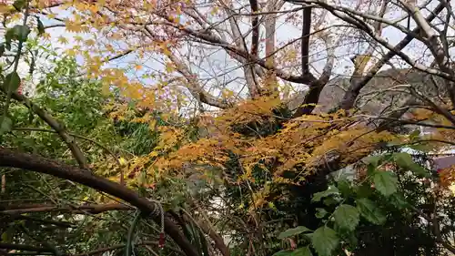 長谷寺(静岡県)