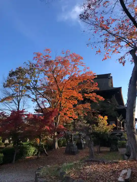 善光寺(長野県)