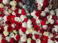 札幌諏訪神社の手水舎