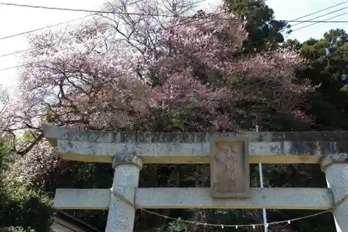 八幡神社の鳥居