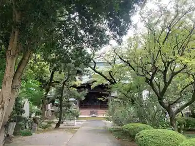 妙傳寺の本殿・本堂