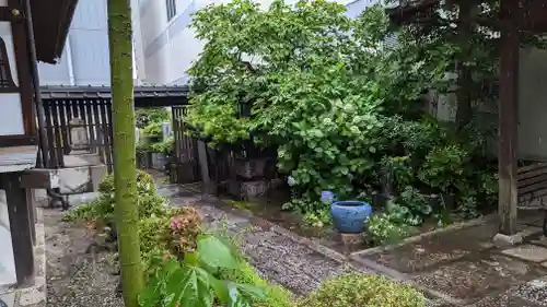 浄心寺(京都府)