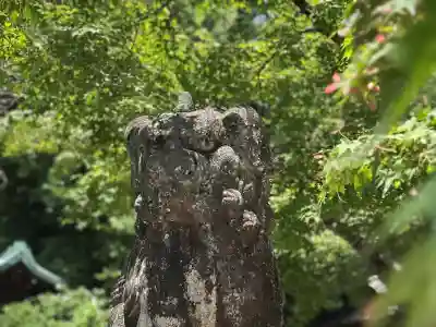 今宮神社の狛犬
