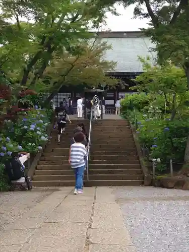 本土寺の建物その他