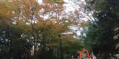 賀茂御祖神社（下鴨神社）のその他建物