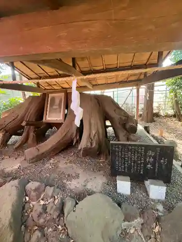 馬場氷川神社(埼玉県)