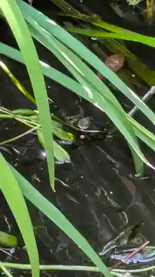 宝蔵寺(京都府)