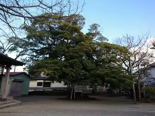 神明神社(神奈川県)