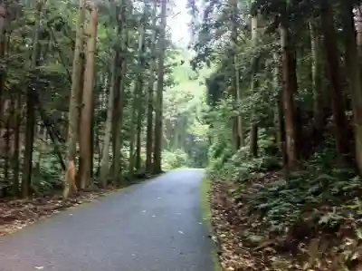 天の岩戸神社の周辺