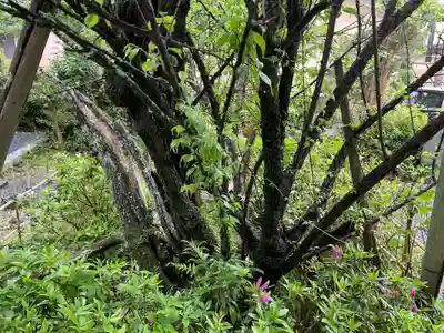 東北院(京都府)