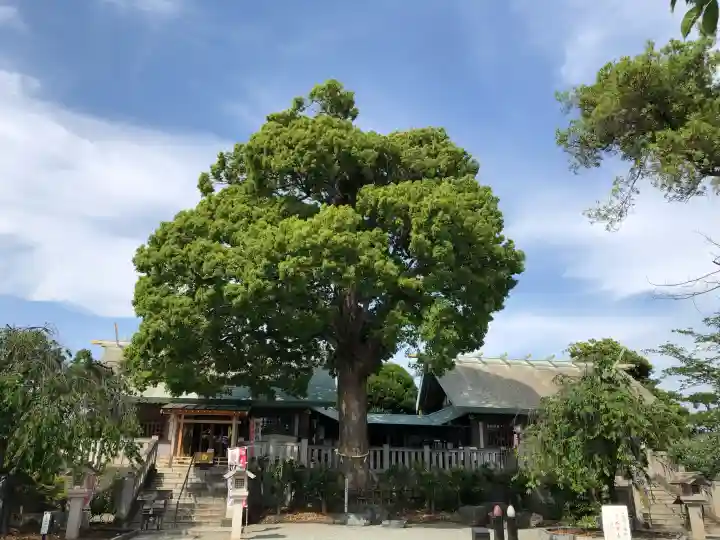 伊勢原大神宮の{uncategorized: "未分類", other: "その他", undefined: "問題あり", building: "その他建物", grave: "お墓", sacred_gate: "鳥居", guardian: "狛犬", statue: "像", buddha: "仏像", history: "歴史", nature: "自然", garden: "庭園", animal: "動物", pagoda: "塔", temizu: "手水舎", mountain_gate: "山門・神門", sanctuary: "本殿・本堂", subordinate: "末社・摂社", art: "芸術", scenery: "景色", jizo: "地蔵", ema: "絵馬", goshuin: "御朱印", omikuji: "おみくじ", items: "授与品その他", amulet: "お守り", goshuincho: "御朱印帳", eats: "食事", festival: "お祭り", votive_dance: "神楽", shichigosan: "七五三参", wedding: "結婚式", experience: "体験その他", initially: "初詣", around: "周辺", anti_infection: "感染症対策"}