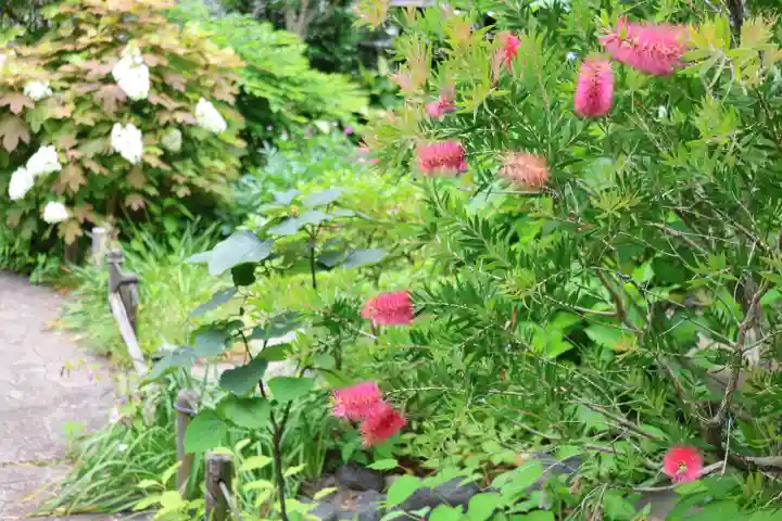 大巧寺(神奈川県)