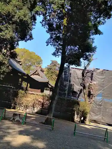 鷲宮神社の本殿・本堂
