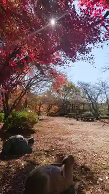 玉野御嶽神社の狛犬